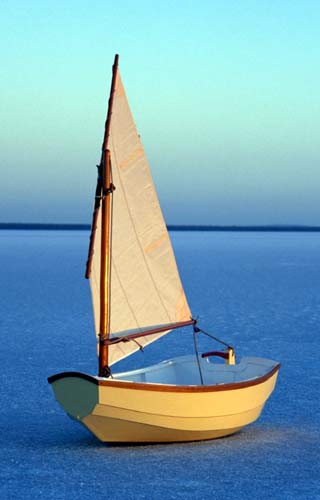 Tenth Cbse Science Textbook Examples